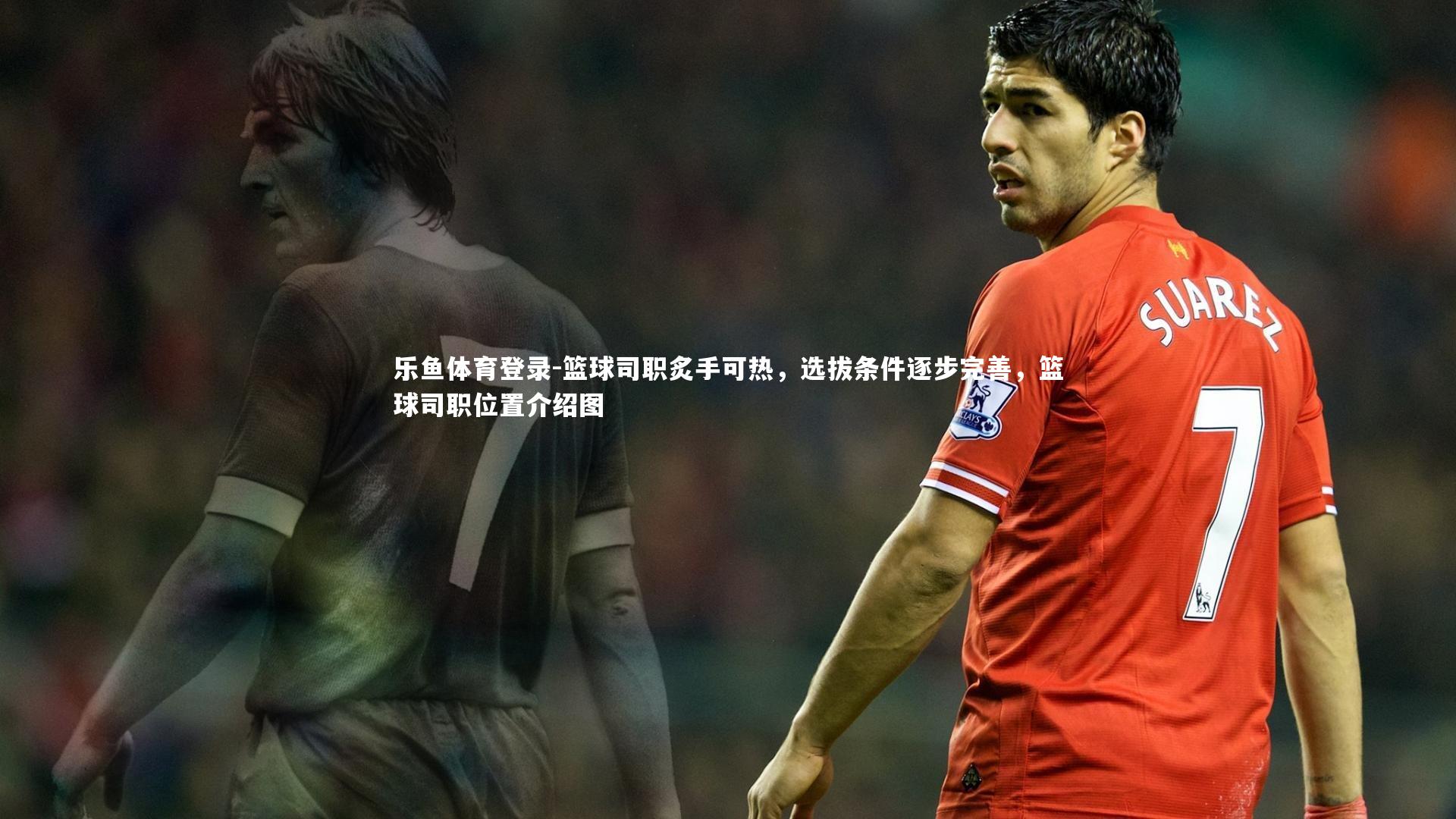 篮球司职炙手可热,选拔条件逐步完善,篮球司职位置介绍图
