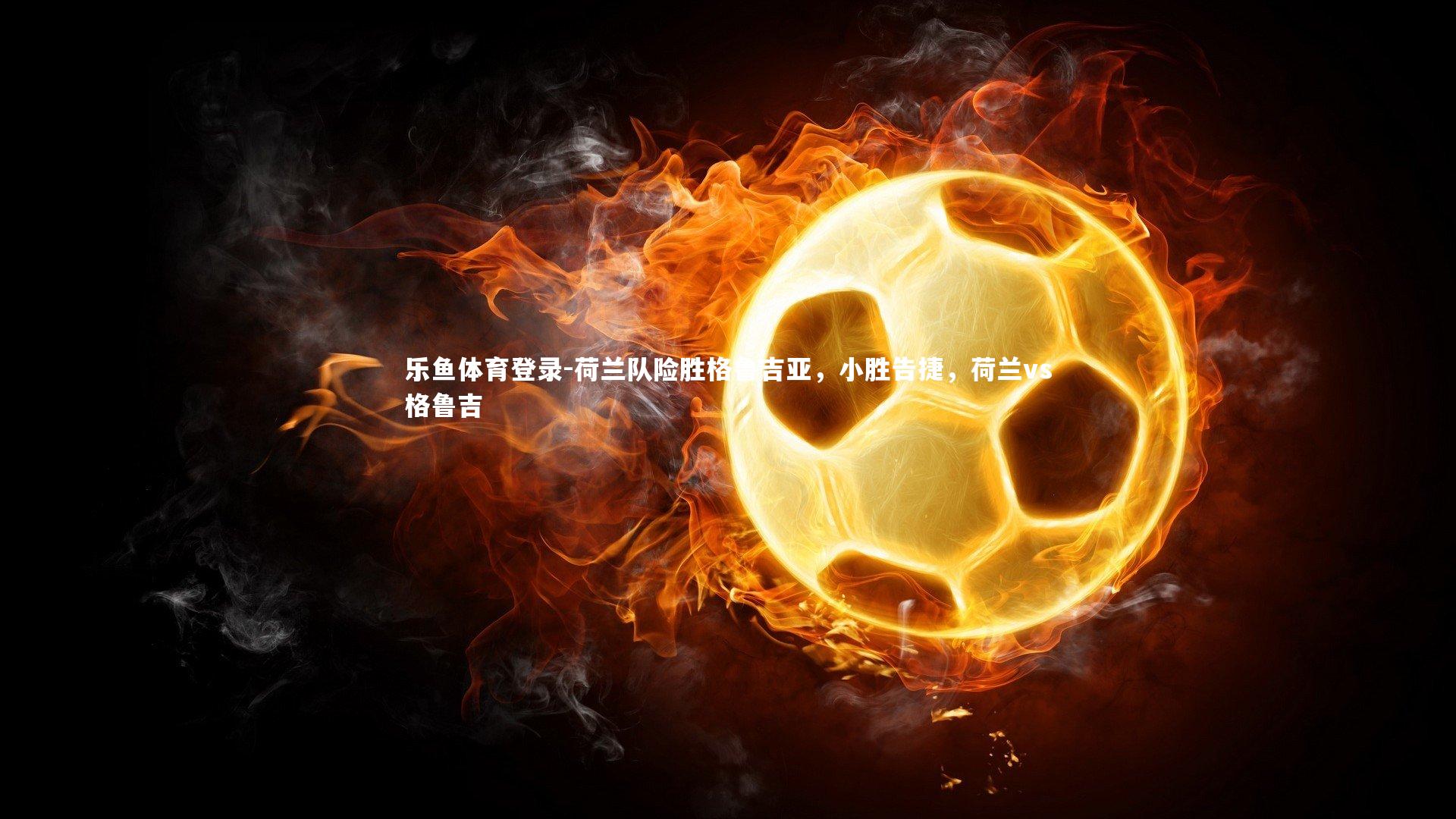 荷兰队险胜格鲁吉亚,小胜告捷,荷兰vs格鲁吉