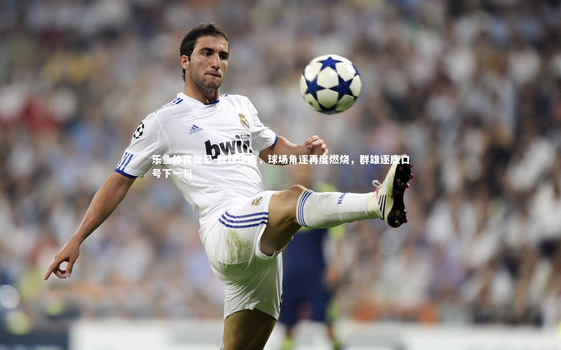 群雄逐鹿,球场角逐再度燃烧,群雄逐鹿口号下一句