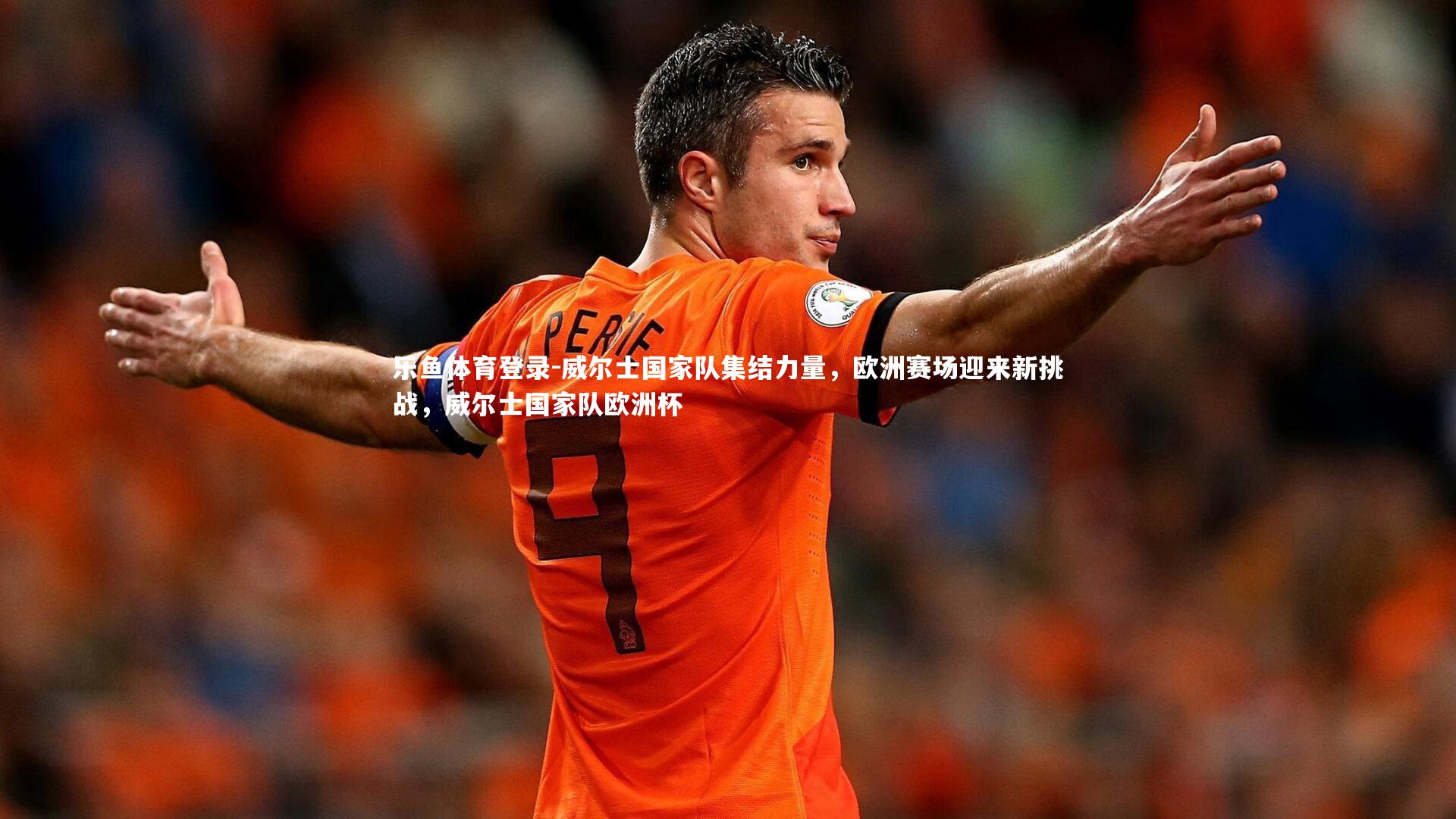 威尔士国家队集结力量，欧洲赛场迎来新挑战，威尔士国家队欧洲杯